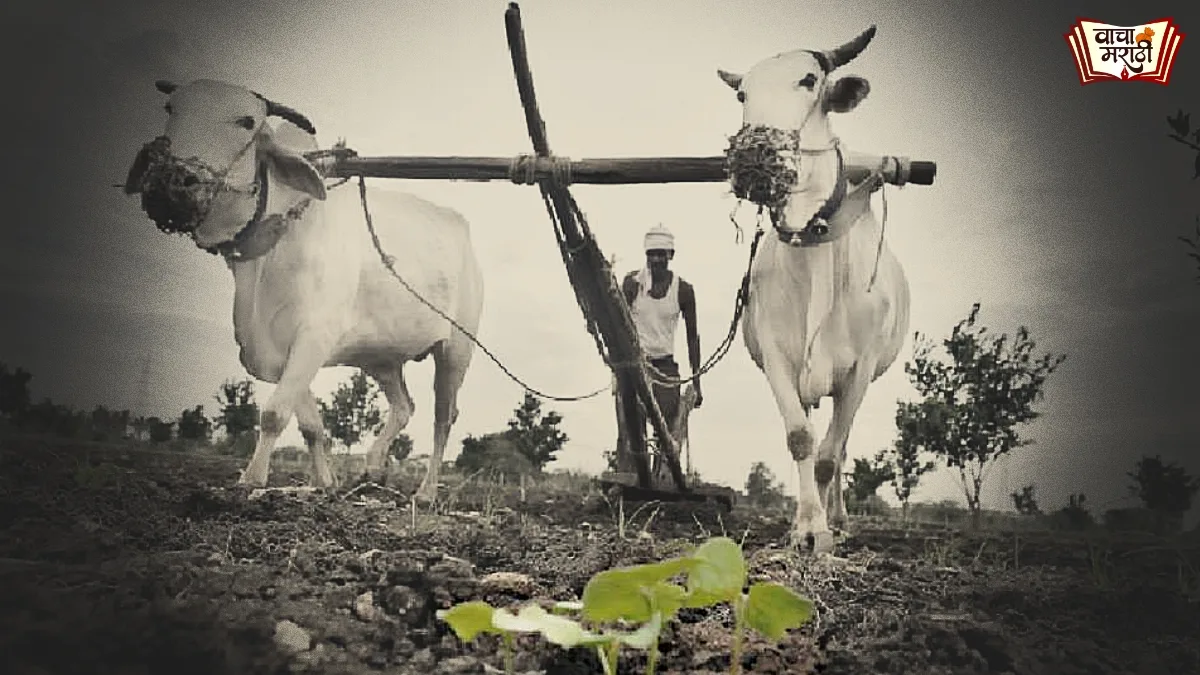 Maharashtra urges farmers to delay sowing as monsoon