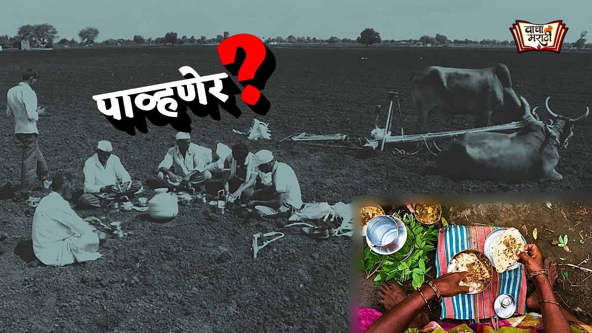 Pavhaner a unique practice in agriculture!