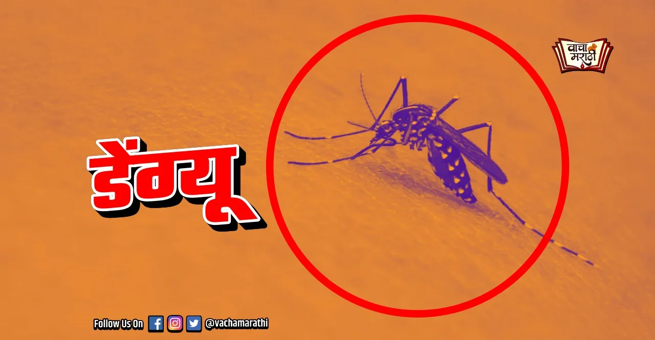 Dengue Symptoms and Prevention Measures