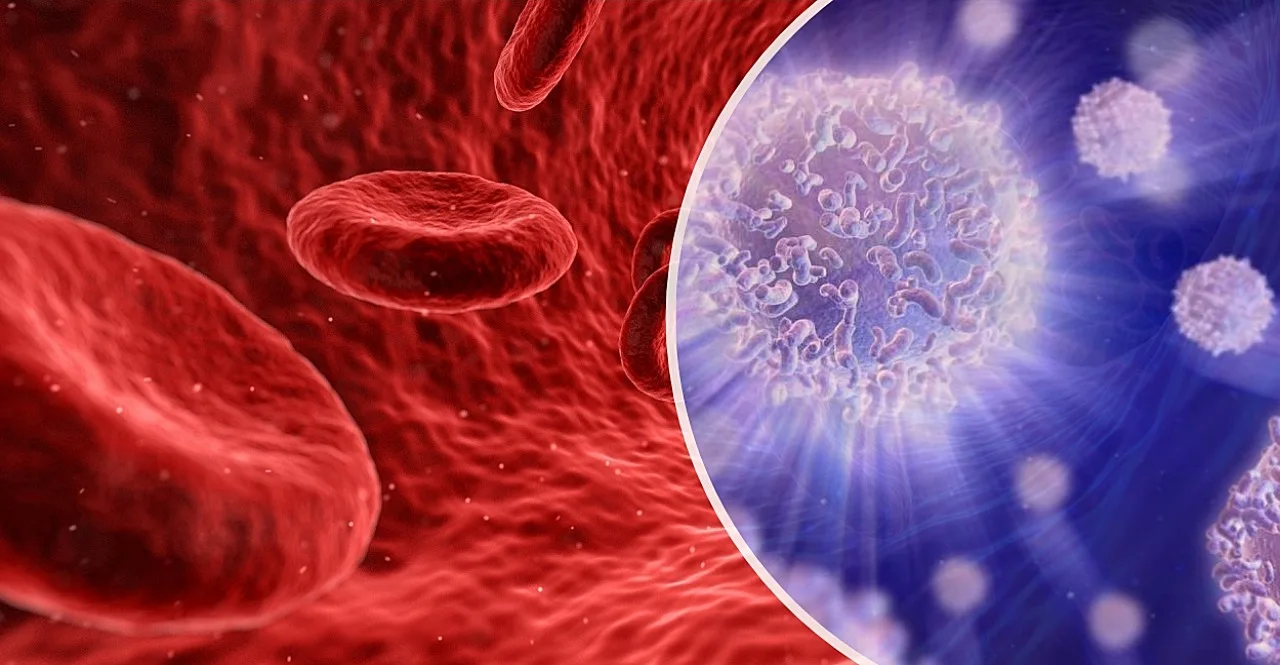 Try these easy home remedies to increase white blood cells in the body