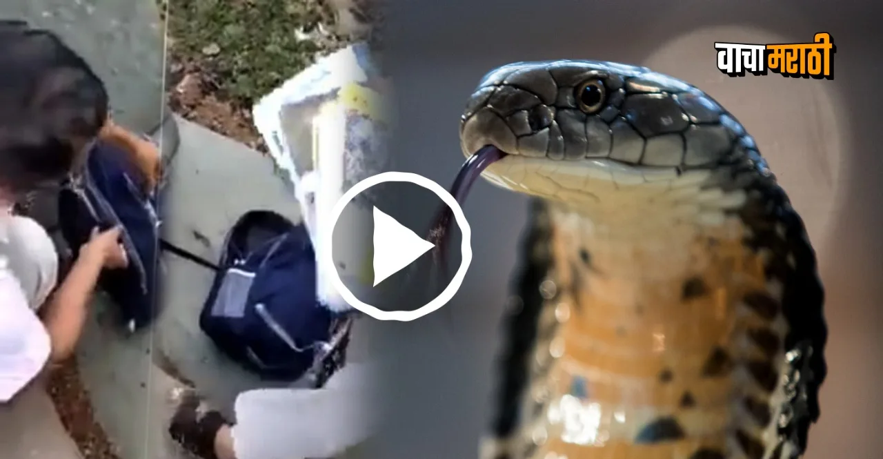 Teacher takes out snake from girls schoolbag watch viral video