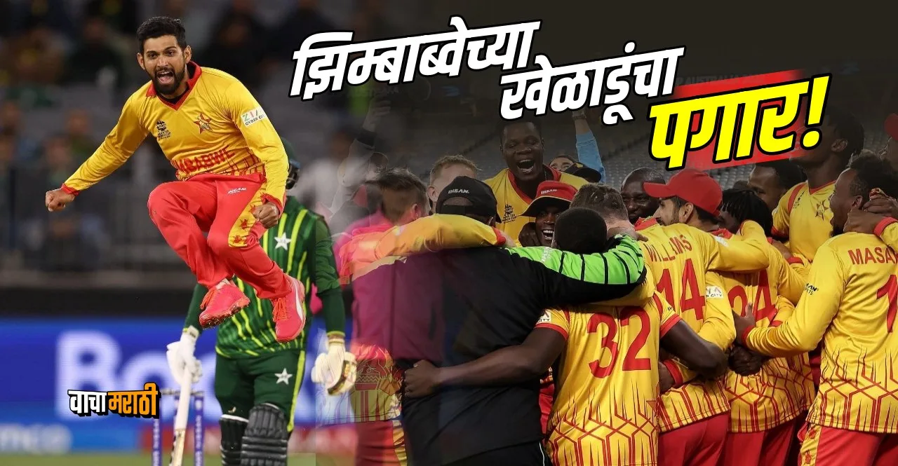 T20 World Cup 2022 know Zimbabwe Players Salary