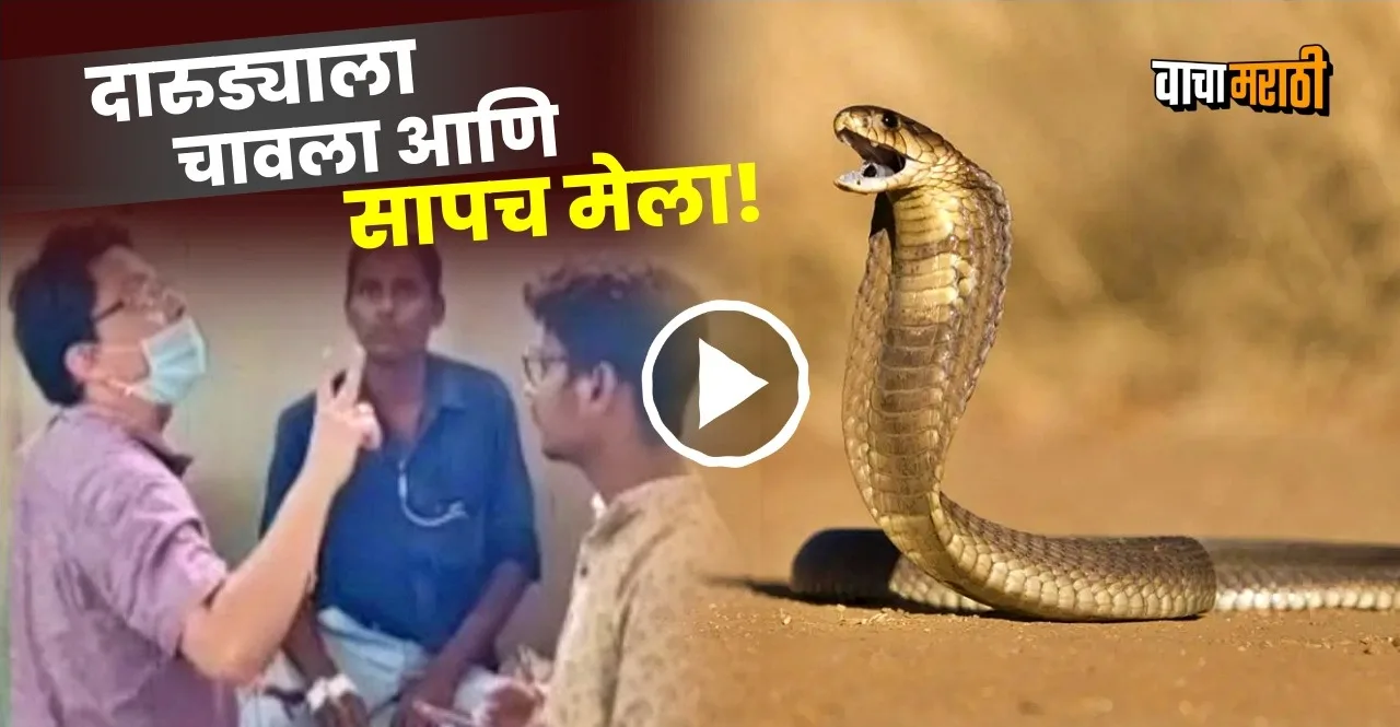 Drunk man comes to up hospital claims king cobra died after biting him