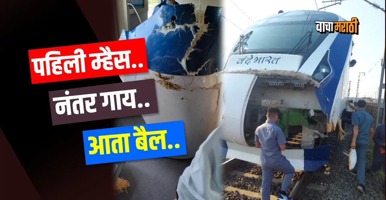 Mumbai Gandhinagar Vande Bharat train hits bull near Atul Station