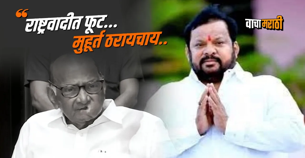 maharashtra 12 ncp leaders are leaving party claims Shahaji Bapu Patil