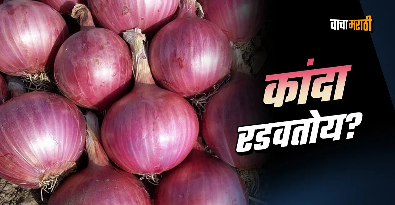 farmers in tears as onion prices drops in Maharashtra know per kg rate