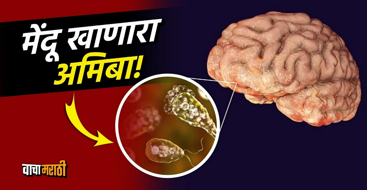 Brain Eating Amoeba first case registered in south korea check causes symptoms and treatment