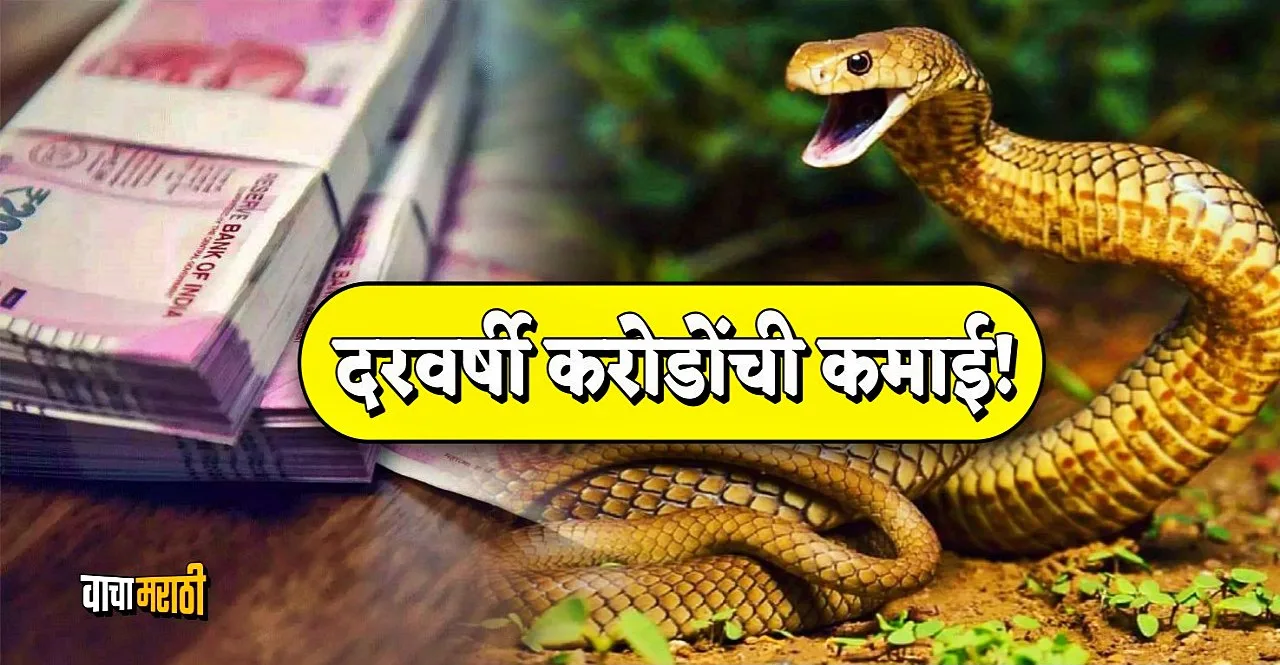 the people of this village earn 100 crores in a year by Snake Farming