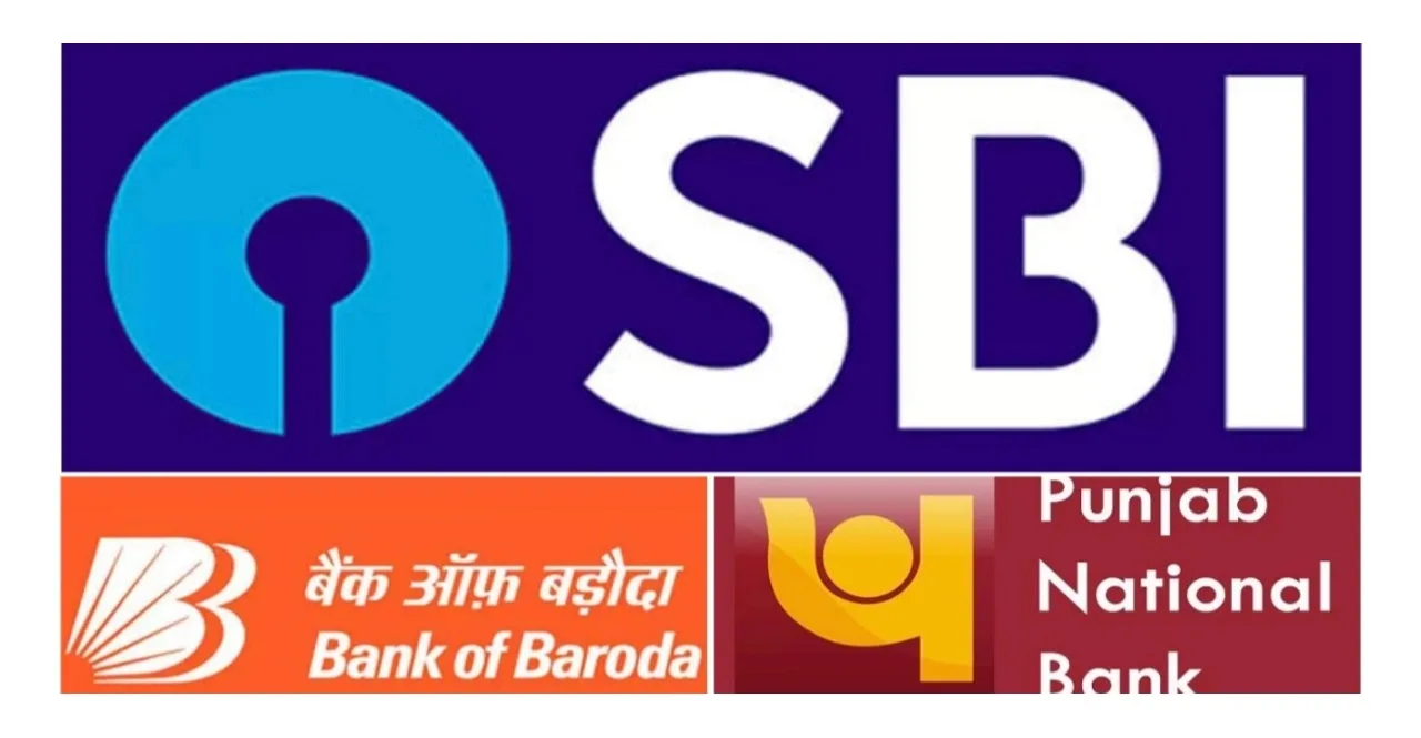 PIB Fact Check SBI PNB bank to go to private know realty here