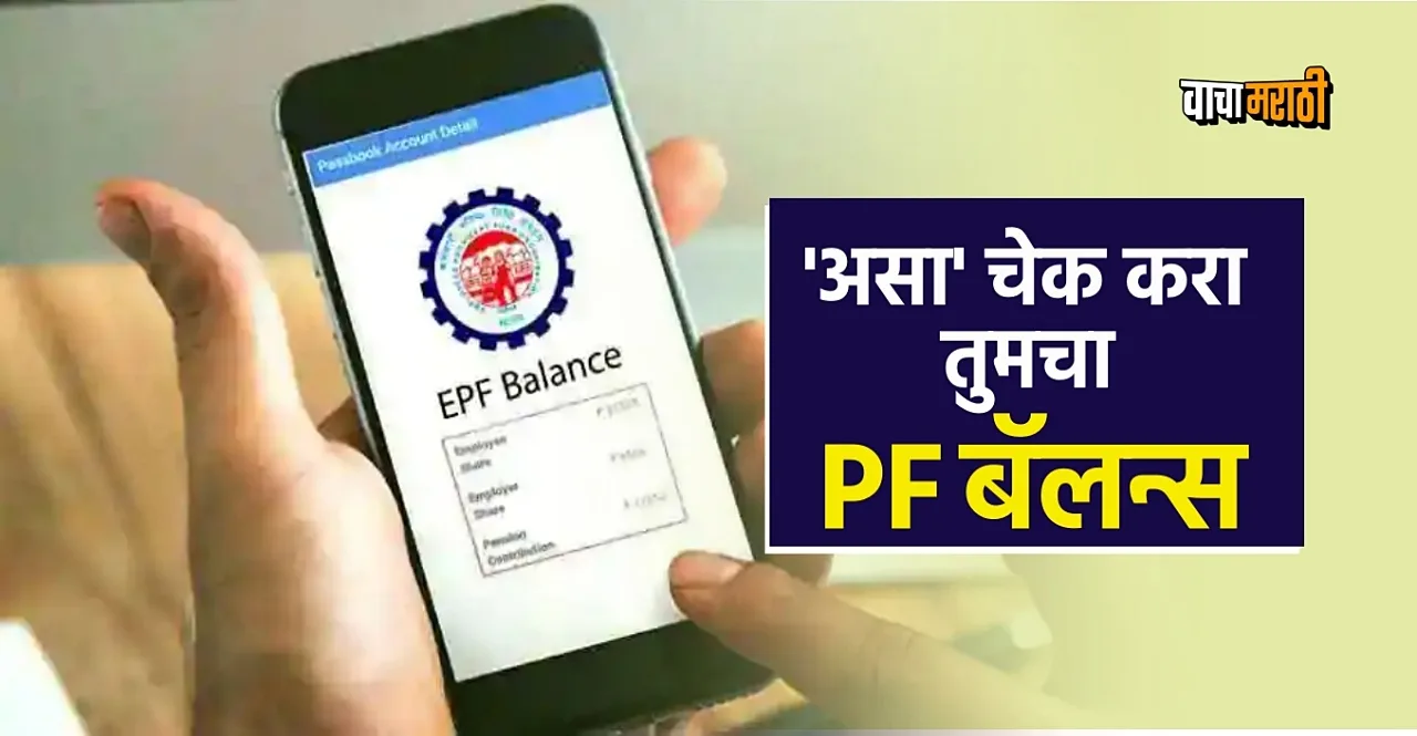 EPFO Account check your pf balance online
