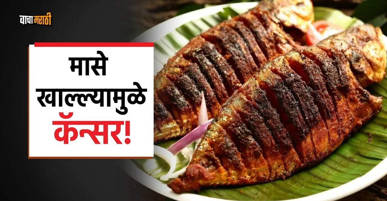 Eating fish can cause cancer shocking revelations in american study