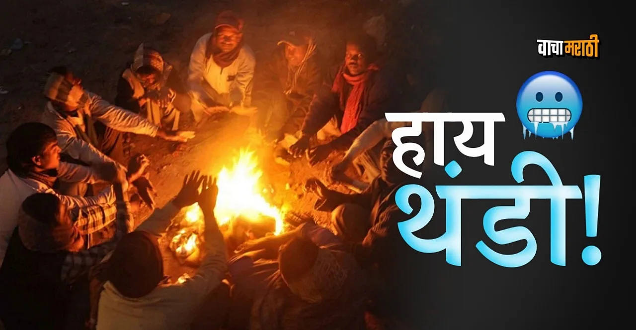 Maharashtra Weather Update Yellow Alert Of Cold Wave in vidarbha