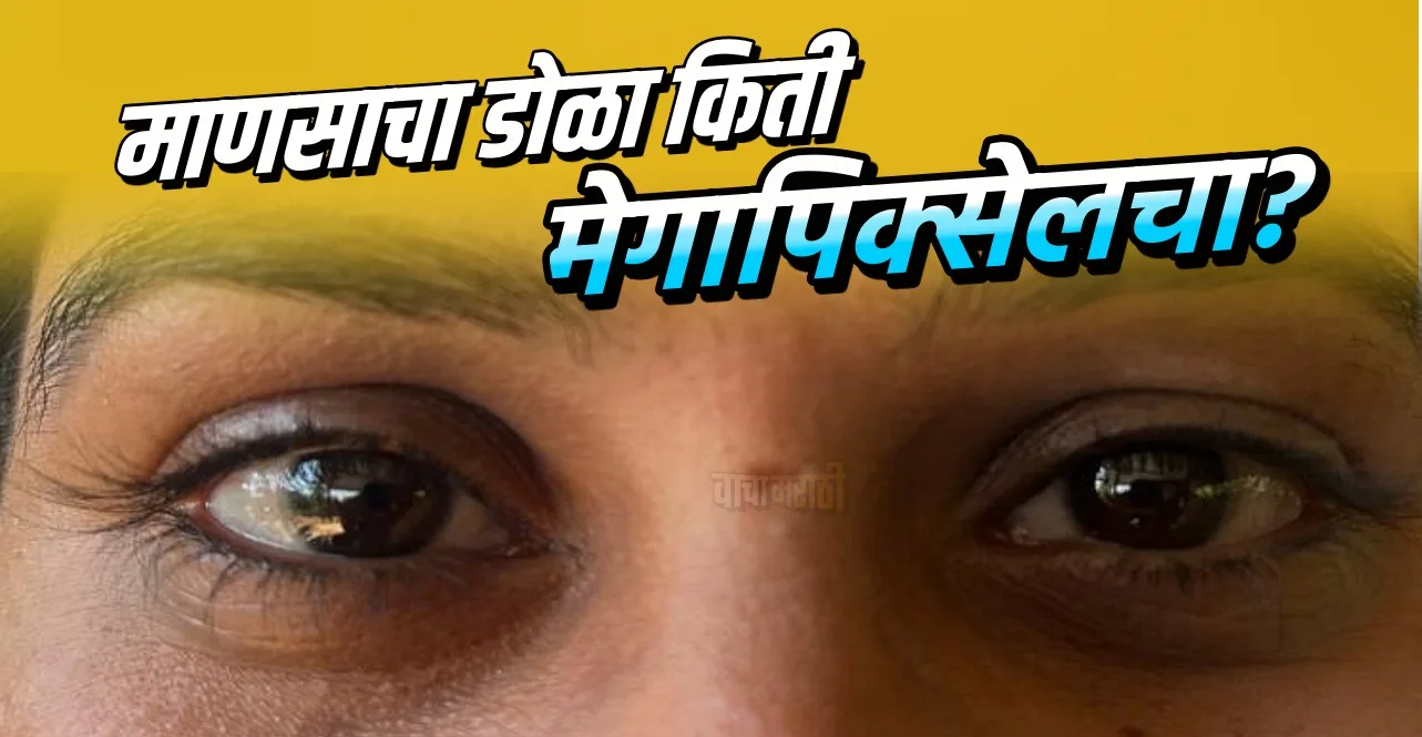Know How many megapixels is human eye