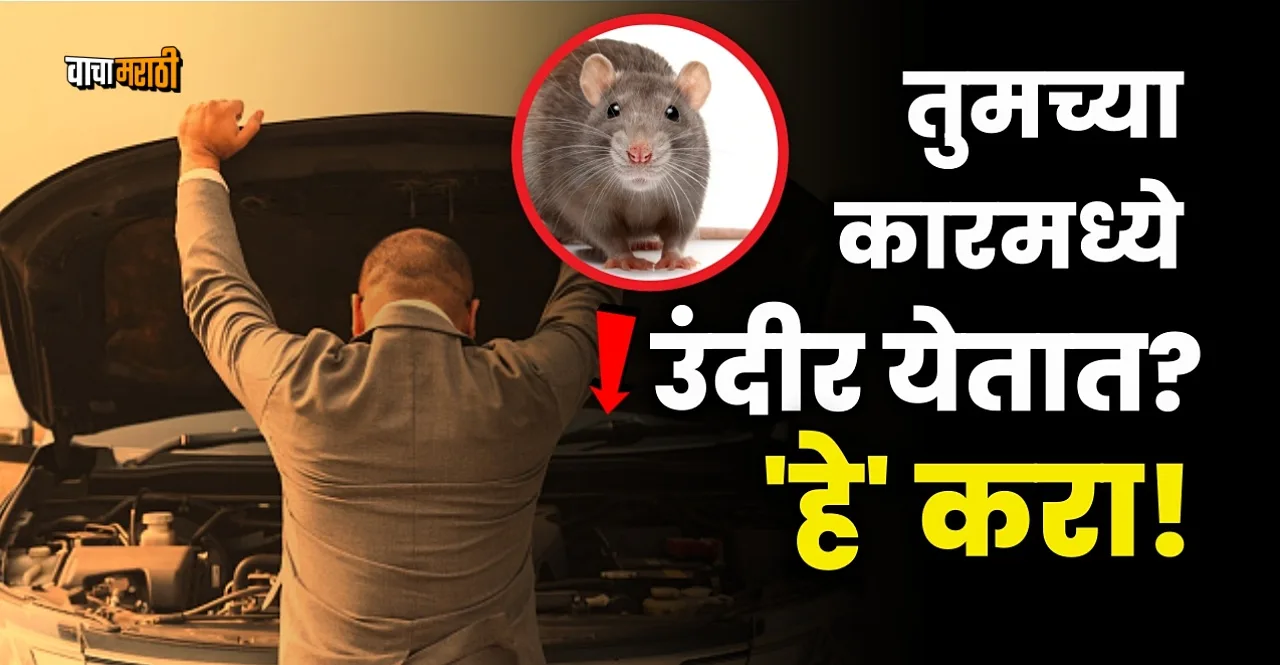 Auto News know How to Protect a Car from Rats Rodents and Mice