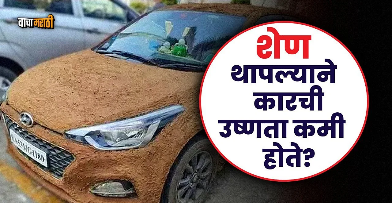Cow dung coat on car exterior to decrease temperature check fact