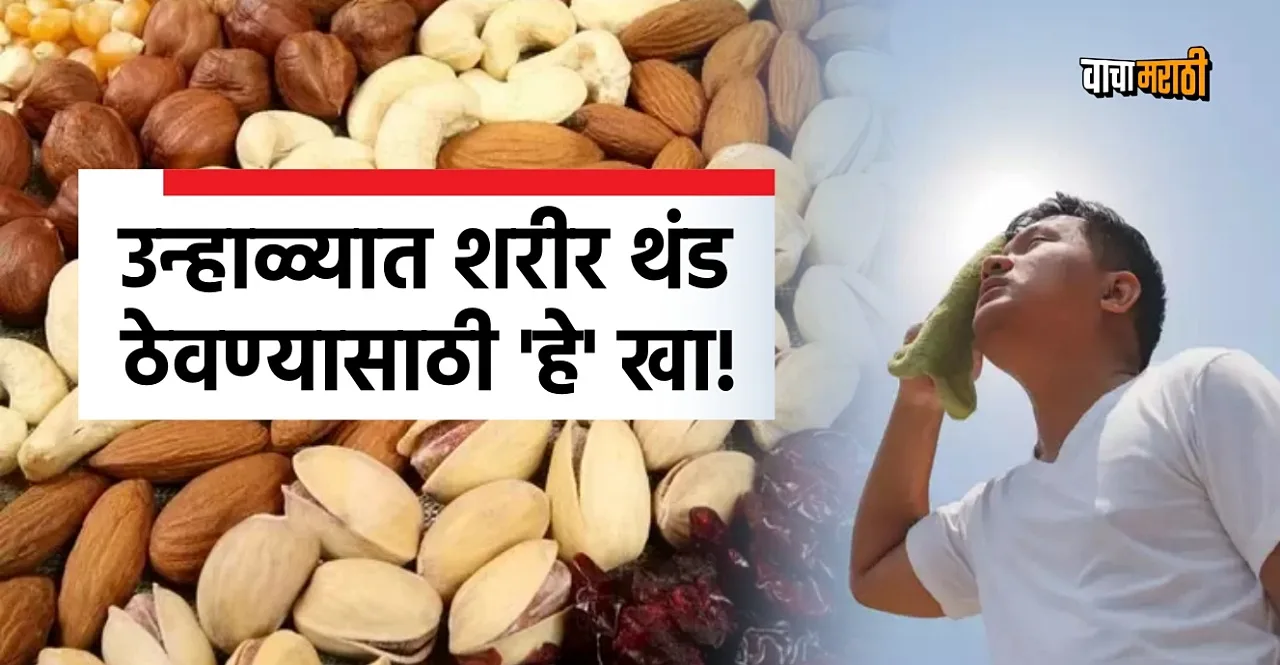 Health These 4 dry fruits will keep you cool in summer