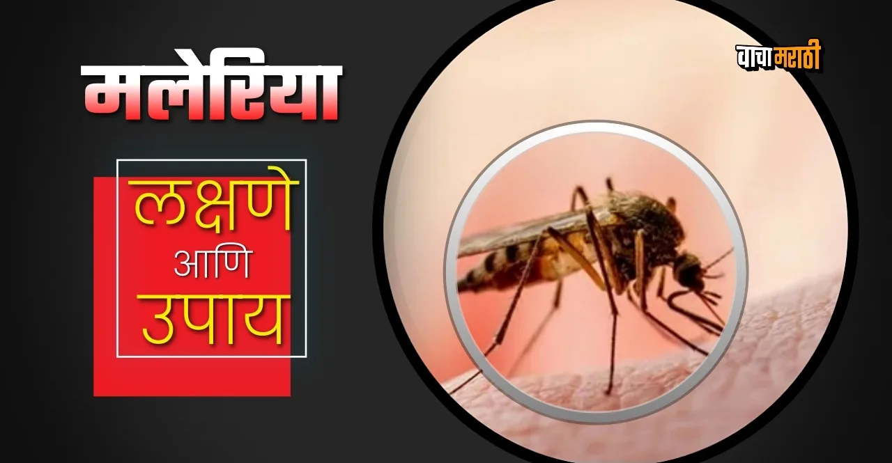 World Malaria Day 2023 significance symptoms and precautions know how to prevent