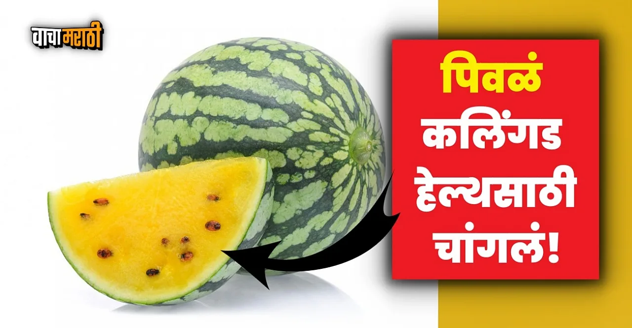 Know What is Yellow Watermelon and How It Is In Taste And Qualities