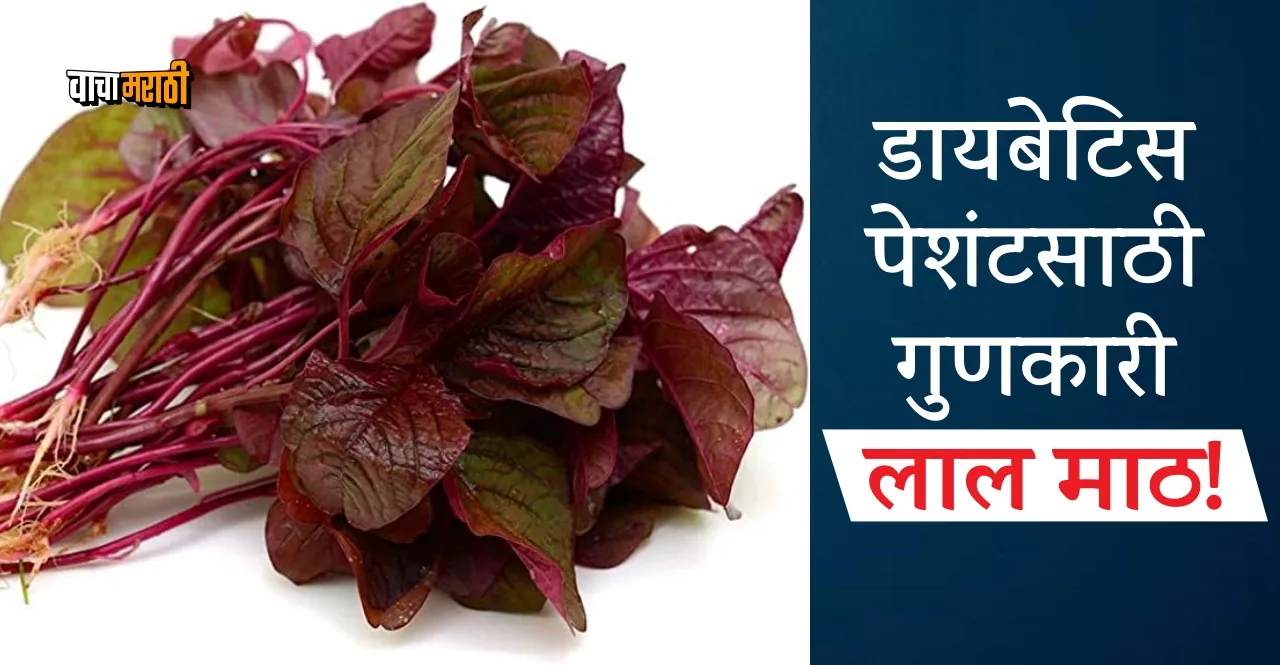 Health benefits of red spinach for Diabetes