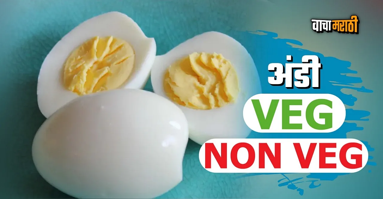 know about egg vegetarian or non vegetarian