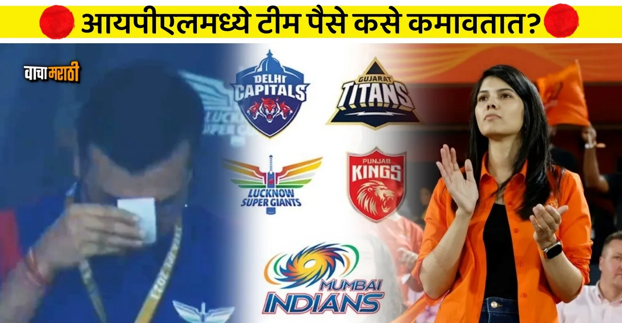 How each Team earns from IPL check this Revenue Model details
