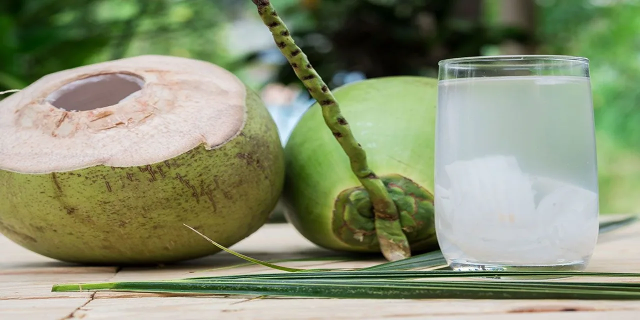 How Water Comes Inside Coconut