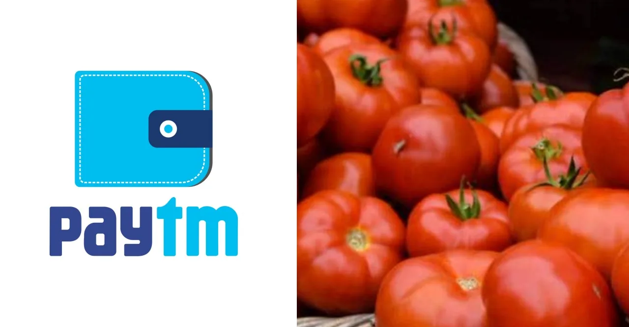 Paytm to Sell Tomatoes in Collaboration with Govt Companies