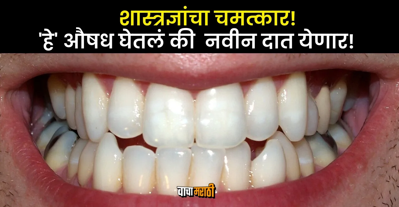 Japan Scientists developing drug to regrow teeth check details