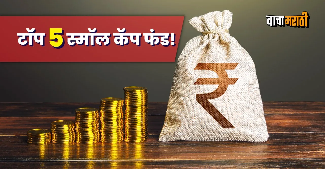Share Market Top Small Cap Funds gives up to 42% return in 5 years