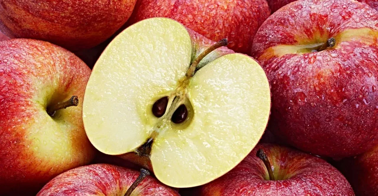 Apple Seeds In Marathi know What happens if you eat them