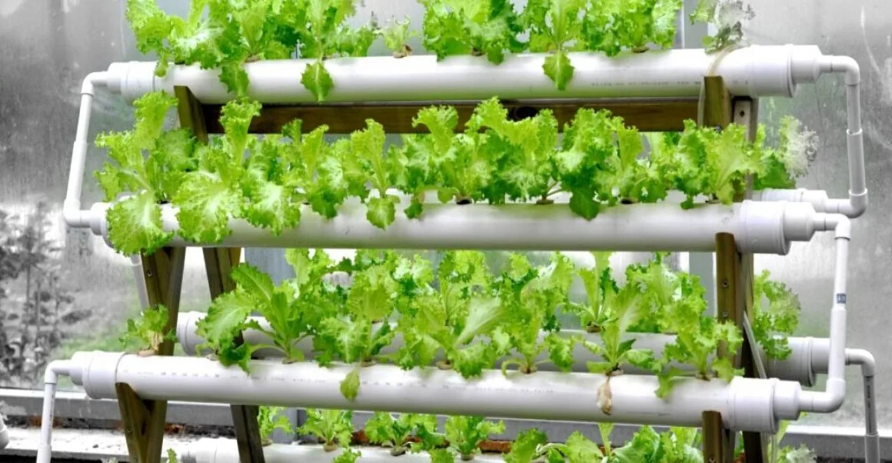 farming without soil know how it will be possible check details in marathi