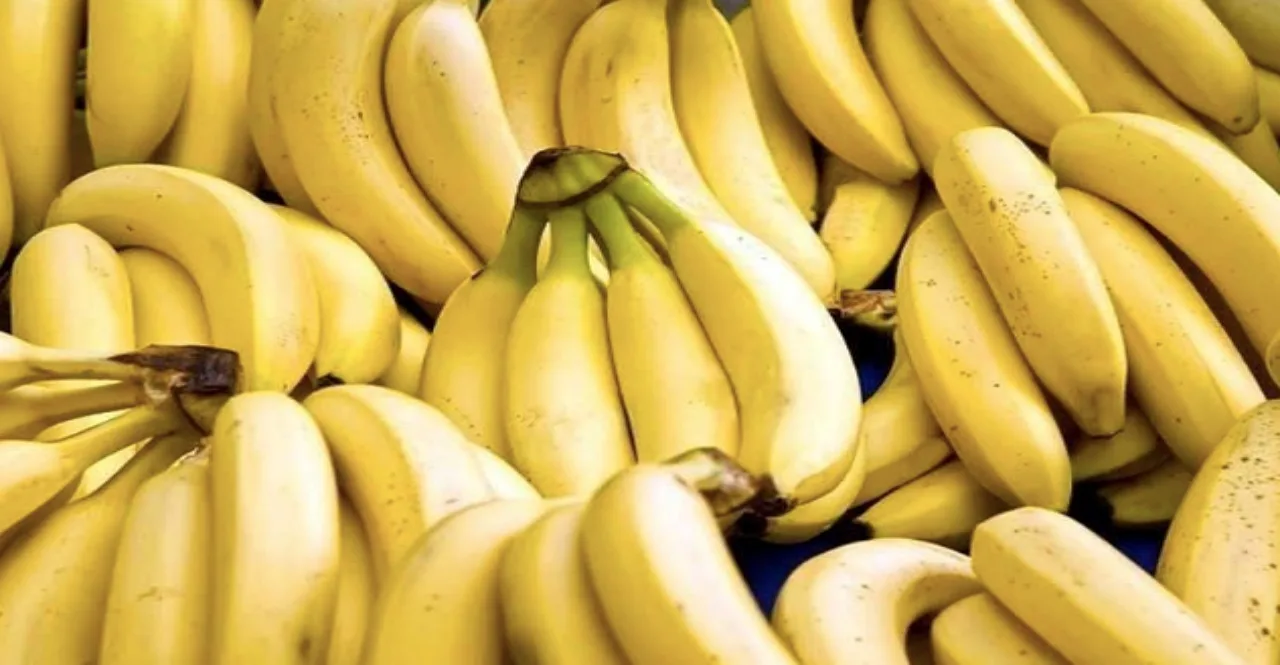 India aims at $1 billion fresh banana exports in next 5 years