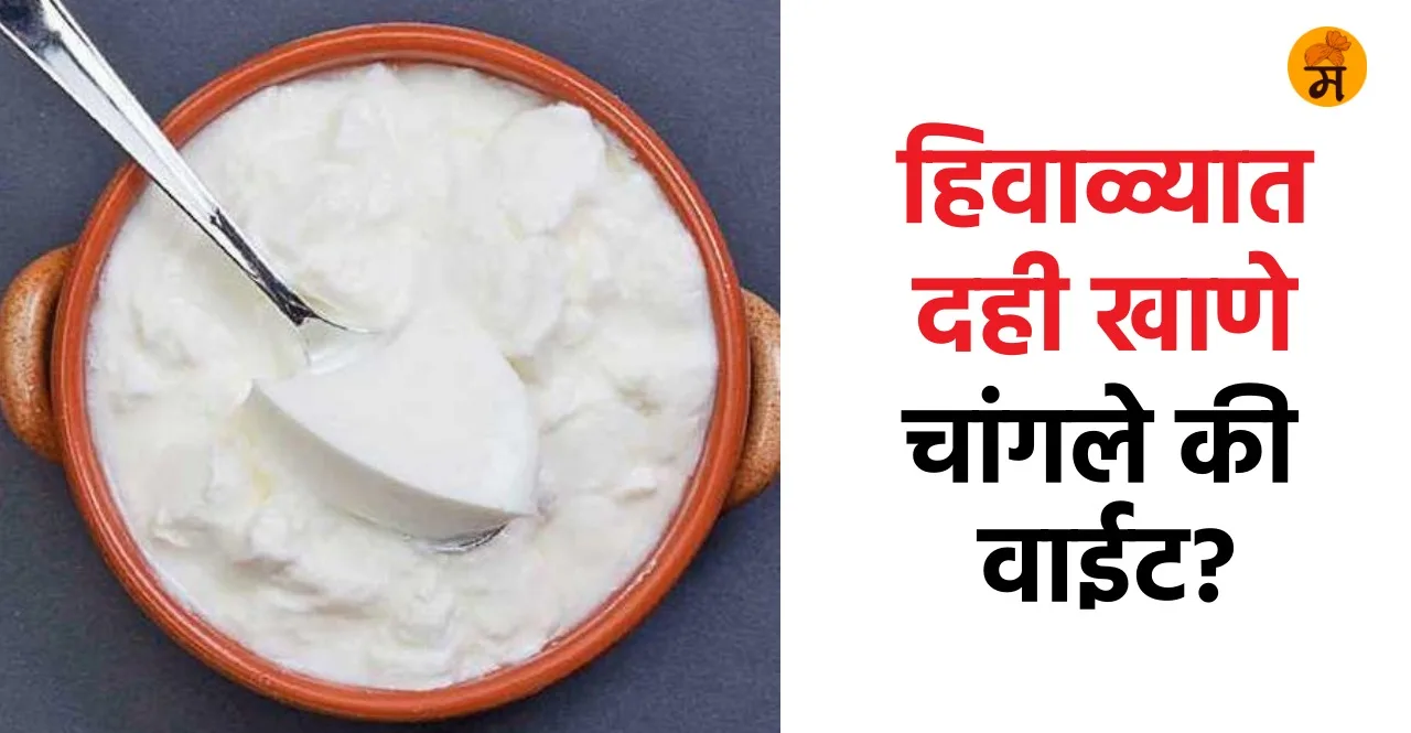 Health Is It Safe To Eat Curd in Winter check here