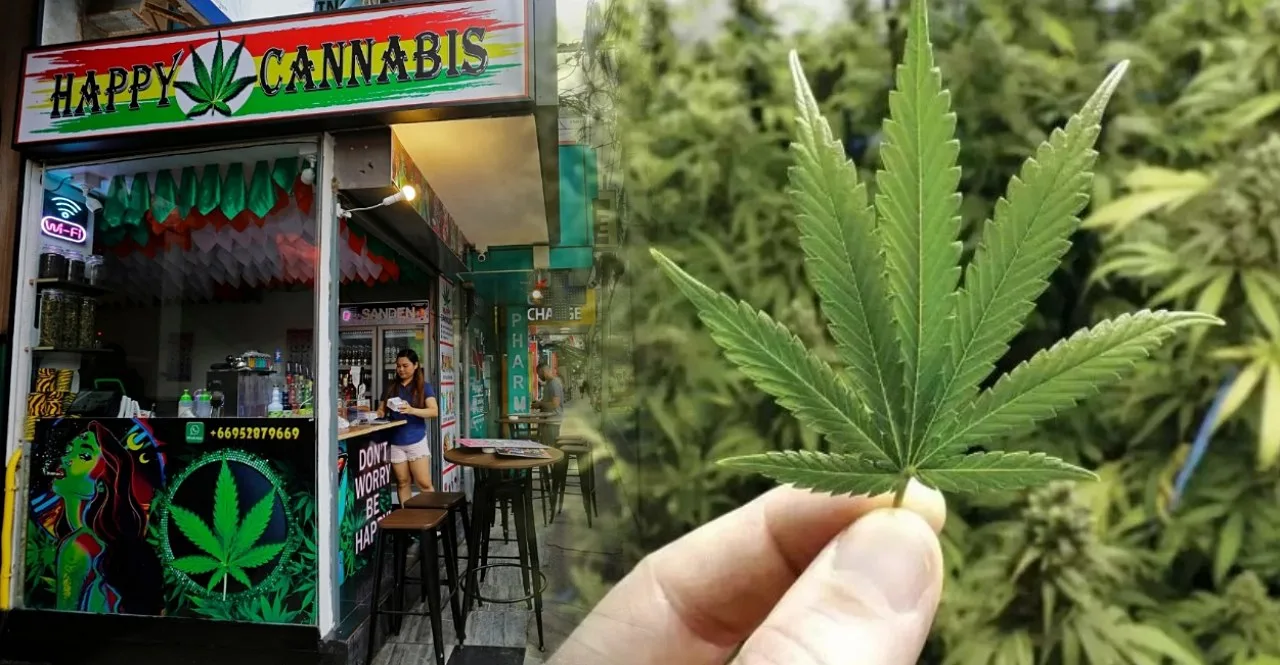 Thailand moves to ban recreational cannabis use