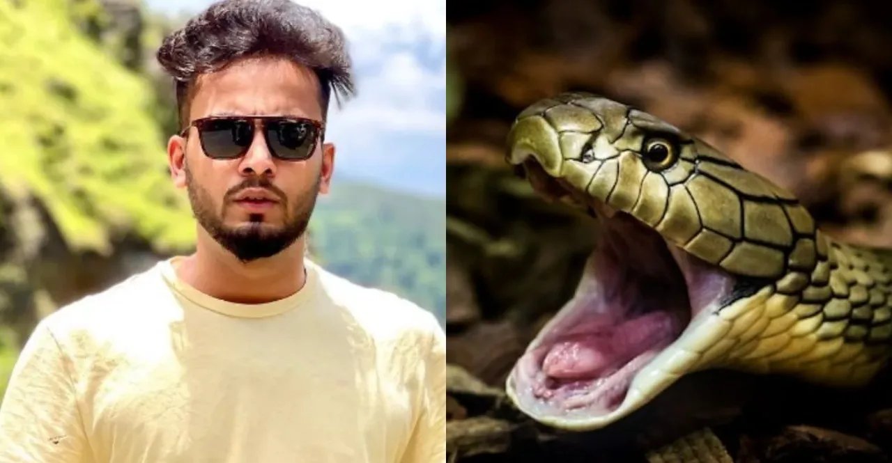 YouTuber Elvish Yadav admits to arranging snake venom at rave parties Sources