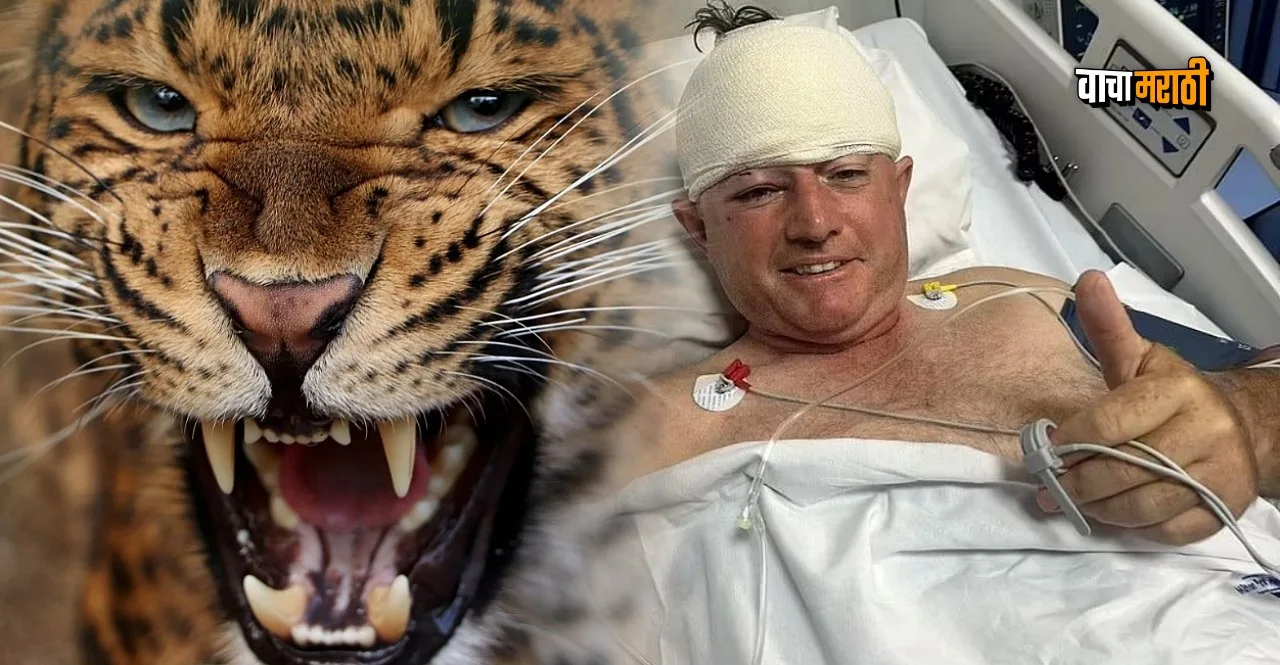 Former Zimbabwe cricketer Guy Whittall hospitalized after leopard attack