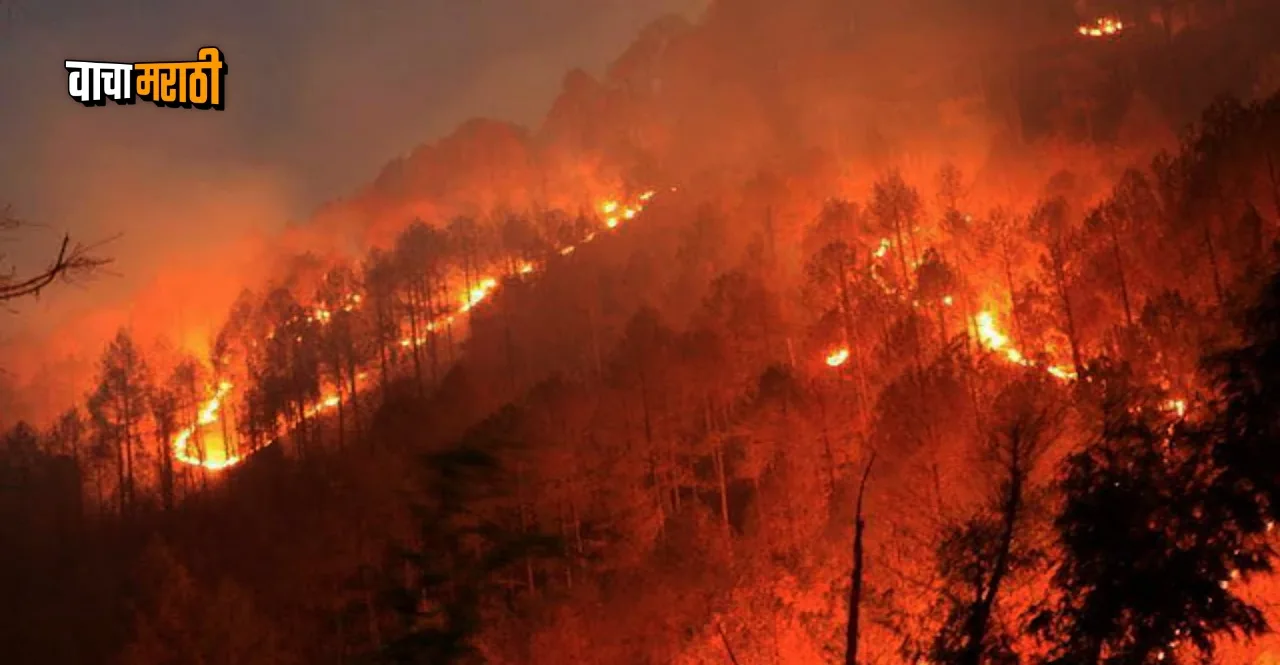 Nainital Forest Fire went out of control Army called in