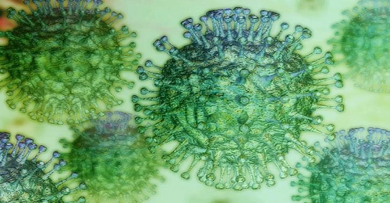 COVID-19 New Variant FLiRT spread in many states check symptoms