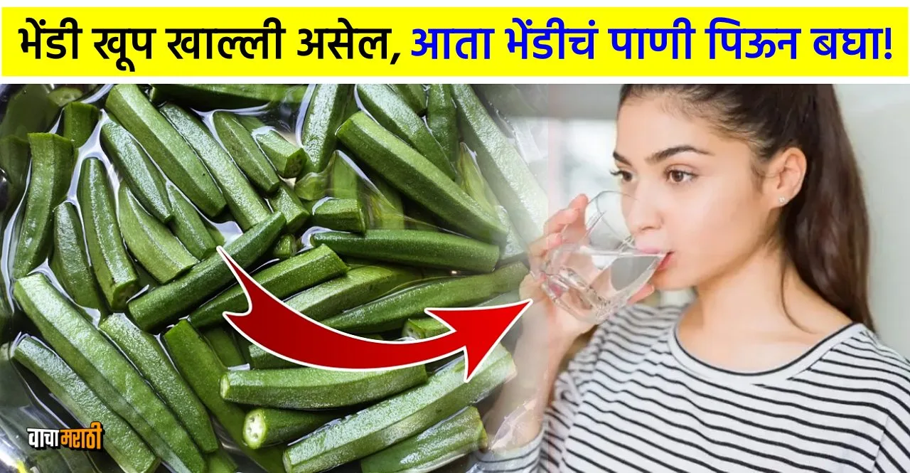 Know Benefits Of Drinking Okra Water In Marathi