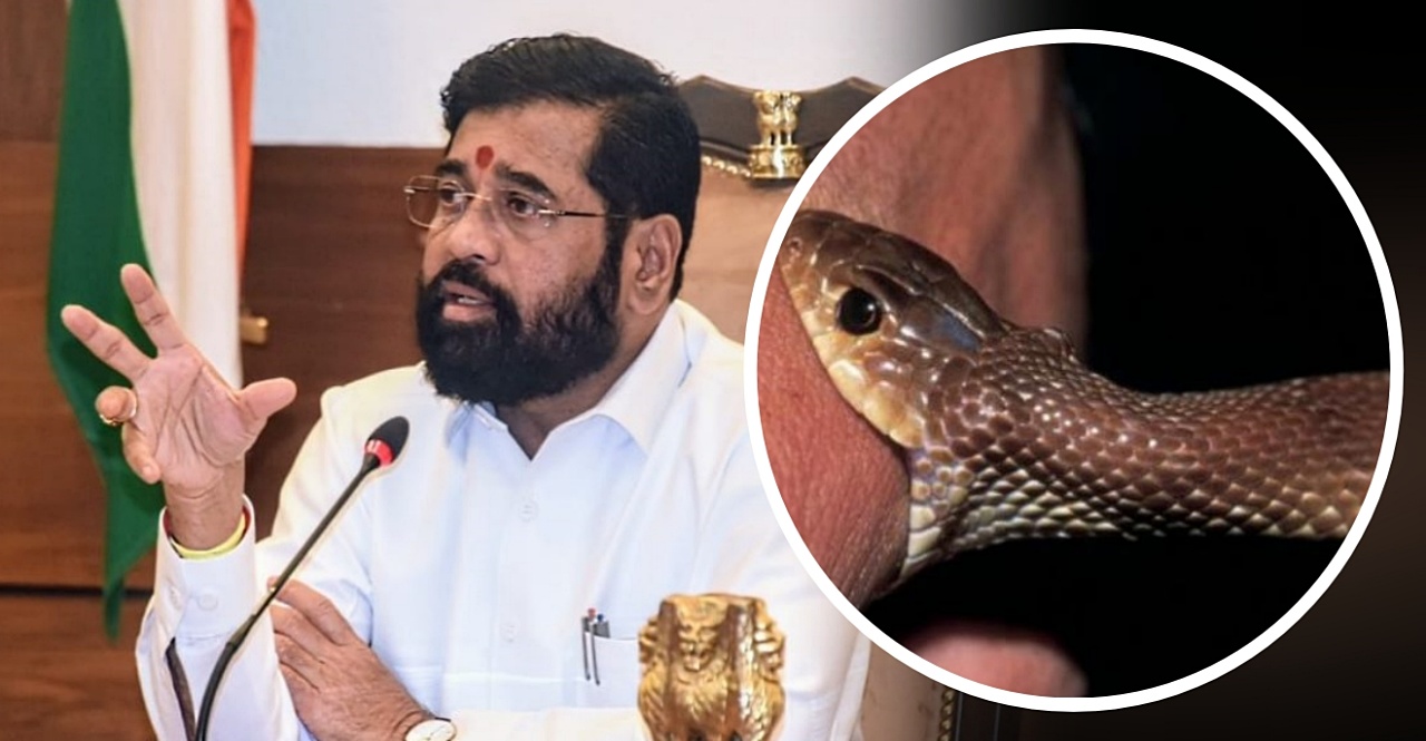 Maharashtra Farmers who died due to Snake Bite should be given benefit under Gopinath Munde Farmer Accident Insurance