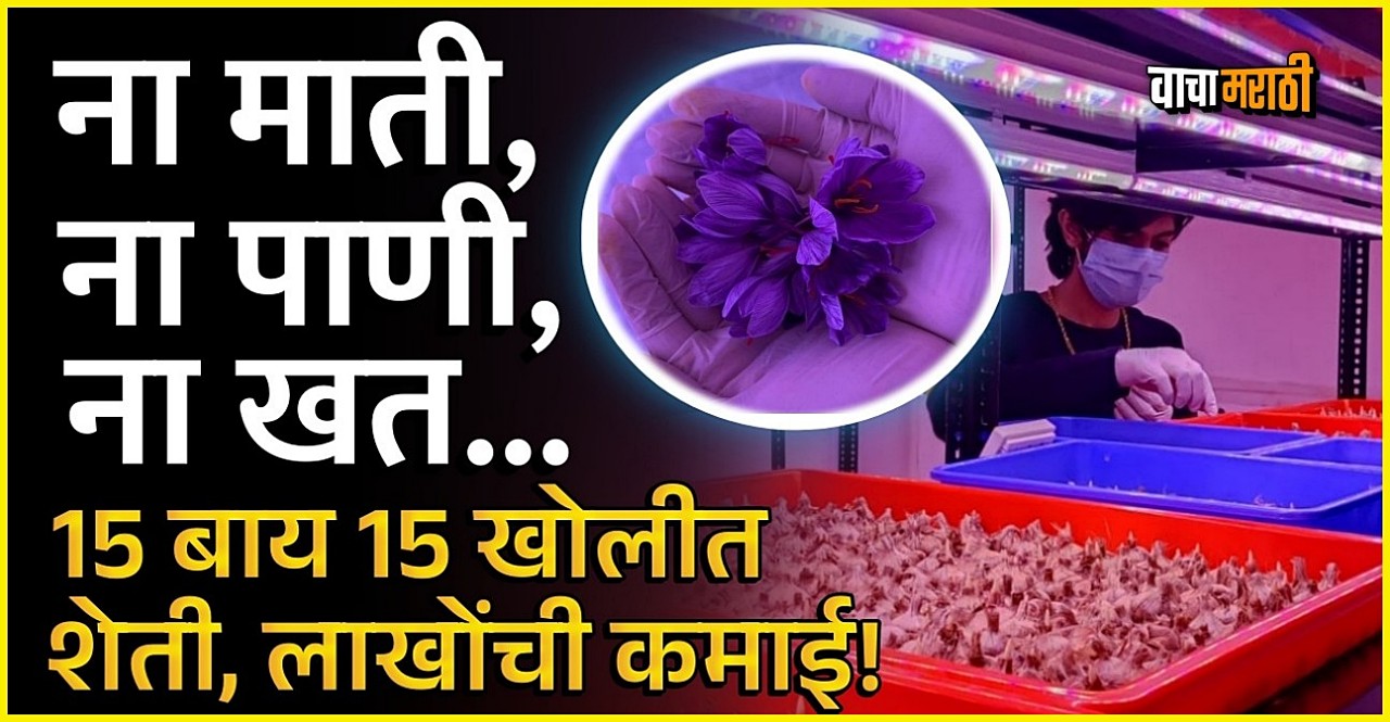 Business News 22 years old farmer harsh patil earning in lakhs by kesar farming