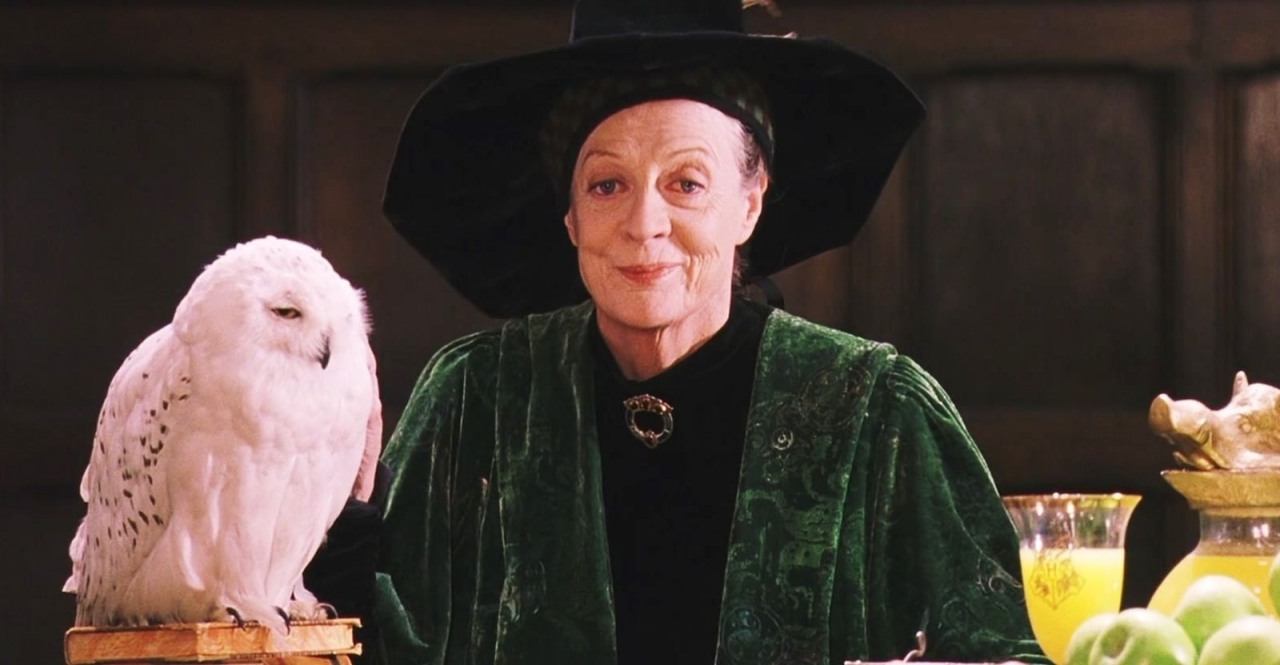 Harry Potter fame Actress Dame Maggie Smith dies at 89