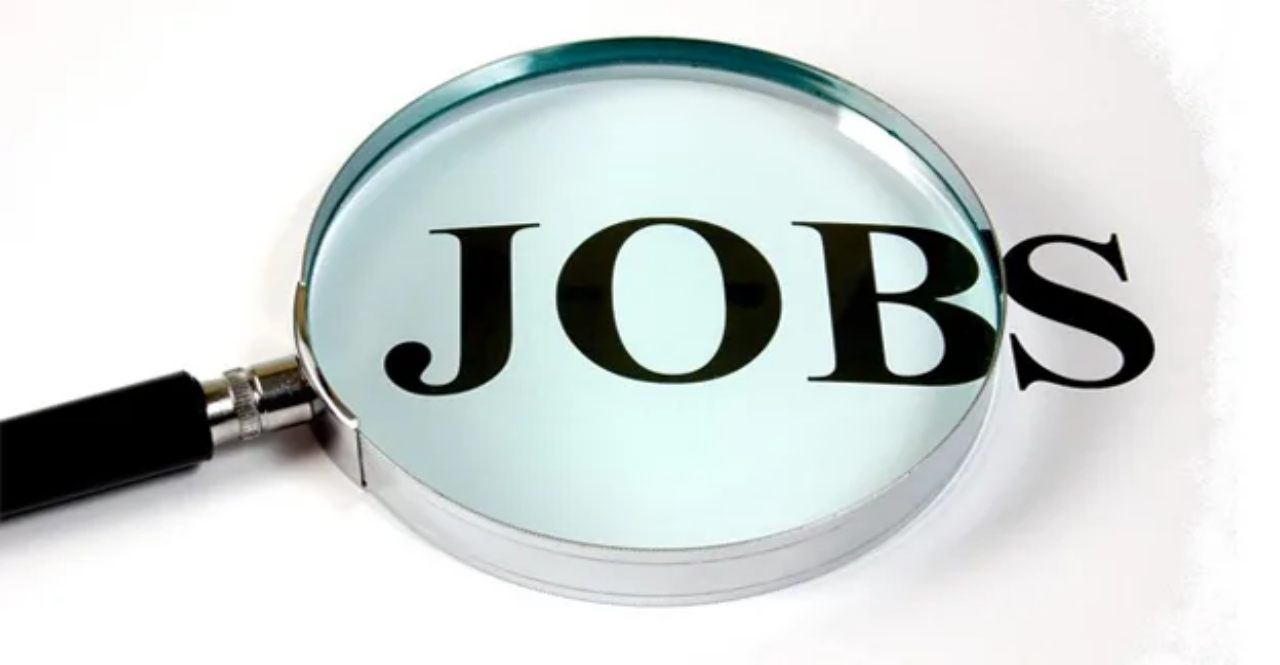 India's job market projected to grow 9 pc in 2025 says report