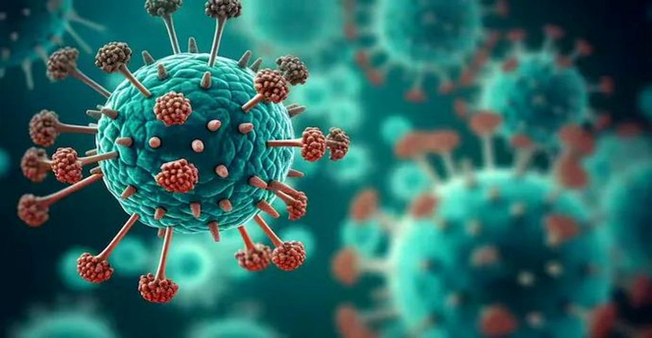 HMPV case detected in Gujarat A 2-month-old infant tests positive
