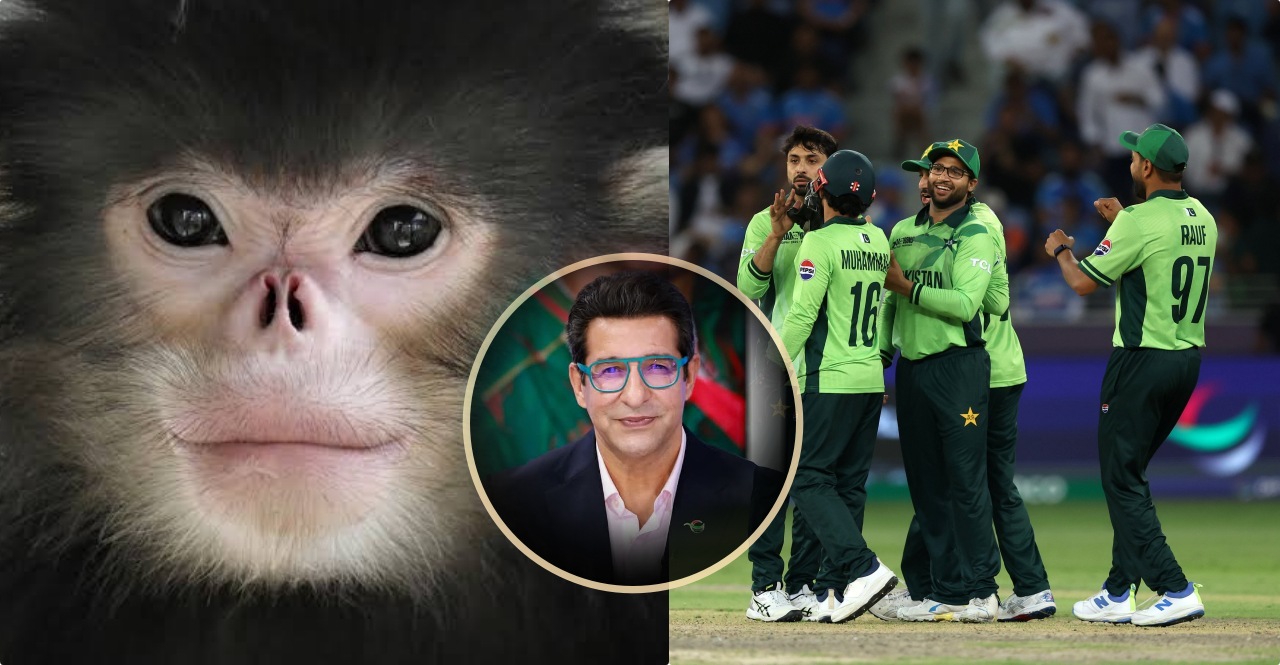 Wasim Akram compared his own Pakistan players to monkeys after IND vs PAK Match in Champions Trophy 2025
