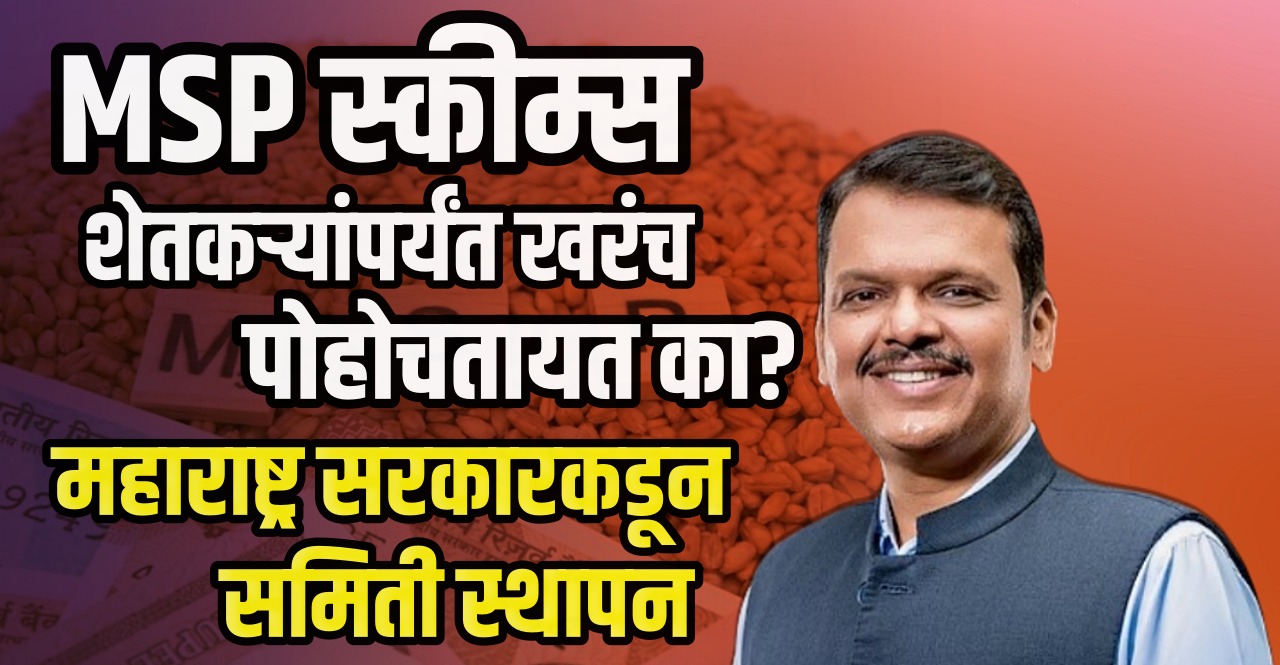 Maharashtra government formed a committee to study implement MSP schemes