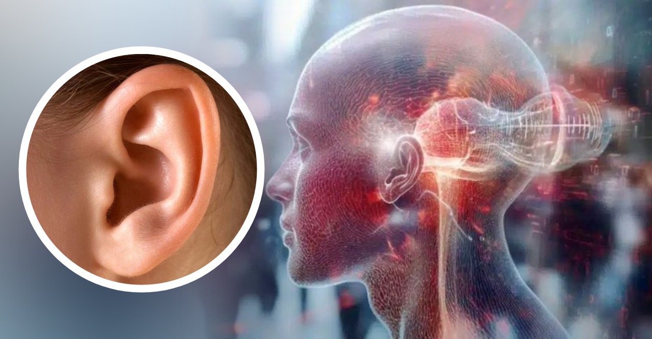 Humans wiggle their ears to hear better say researchers check details