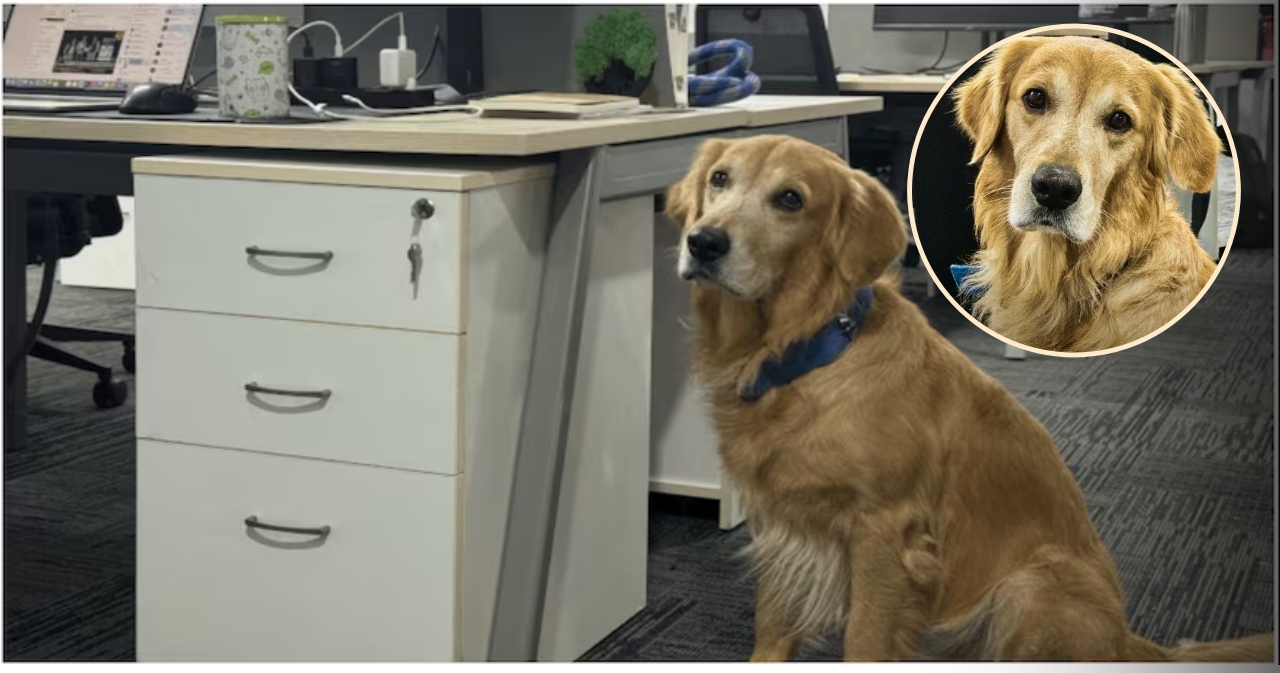 Hyderabad startup's Chief Happiness Officer Denver who steals hearts on internet