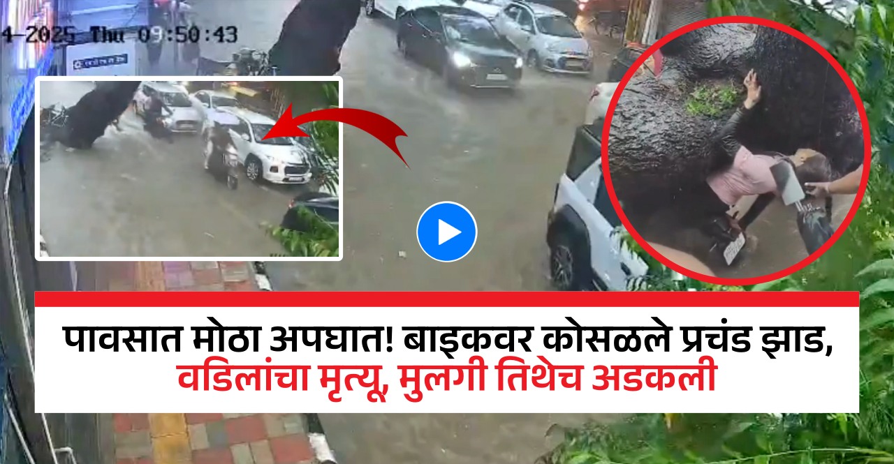 Delhi Kalkaji Tree Fall